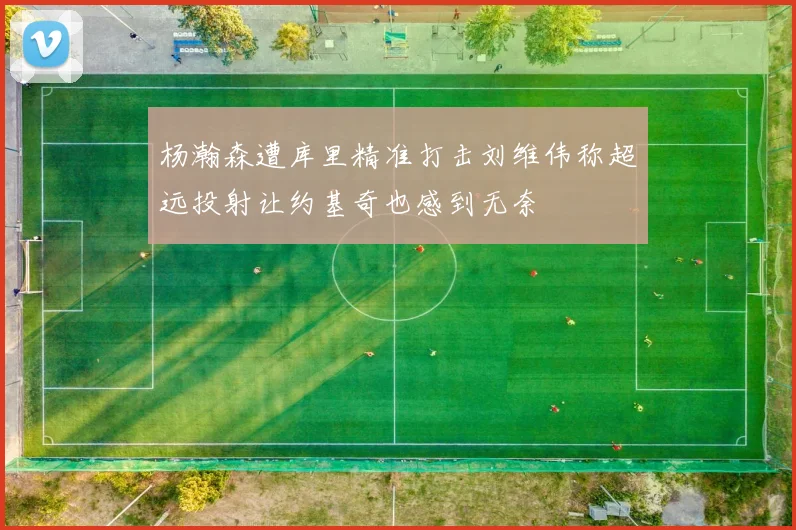 杨瀚森遭库里精准打击刘维伟称超远投射让约基奇也感到无奈