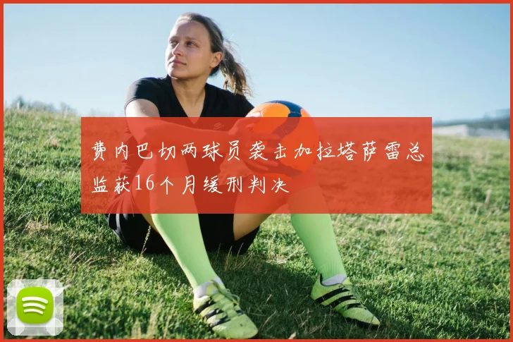 费内巴切两球员袭击加拉塔萨雷总监获16个月缓刑判决