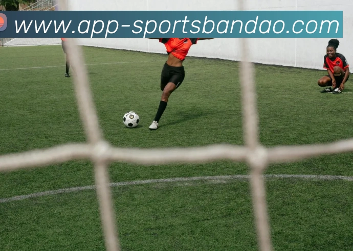 半岛体育APP 高清赛事图